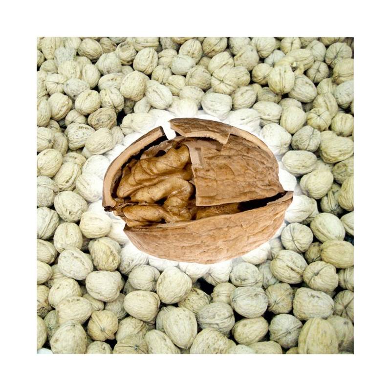 Σπαστήρας καρυδιών CKK100